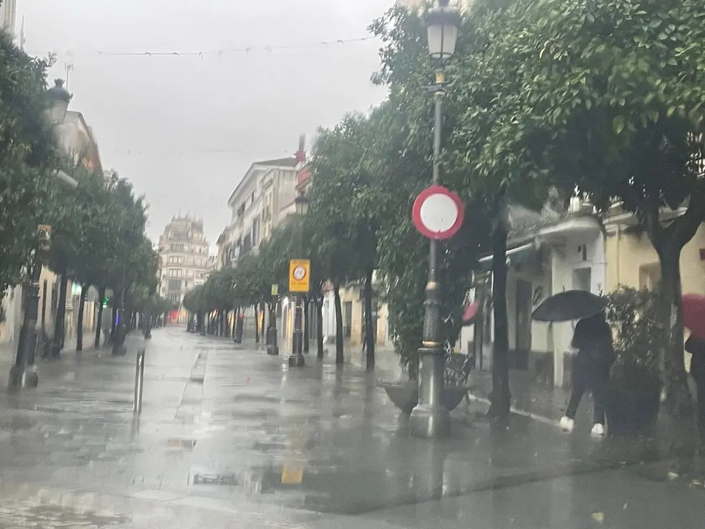 Apenas un viandante protegido por un parag&uuml;as camina bajo la lluvia por la calle Larga. | Jim&eacute;nez.
