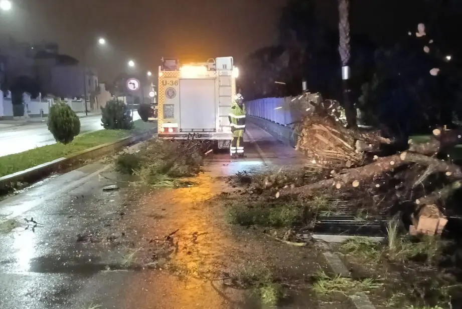 horizontal 1 camion