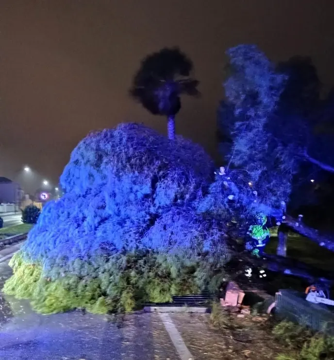 Las im&aacute;genes del paso de la borrasca Leonardo por San Fernando | Informaci&oacute;n