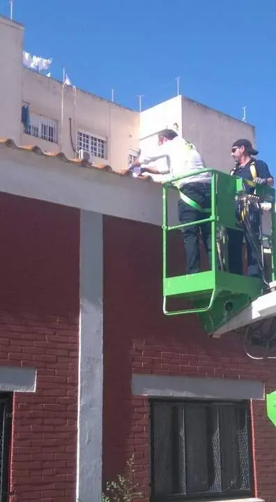 Trabajos anteriores.  - Viva. 