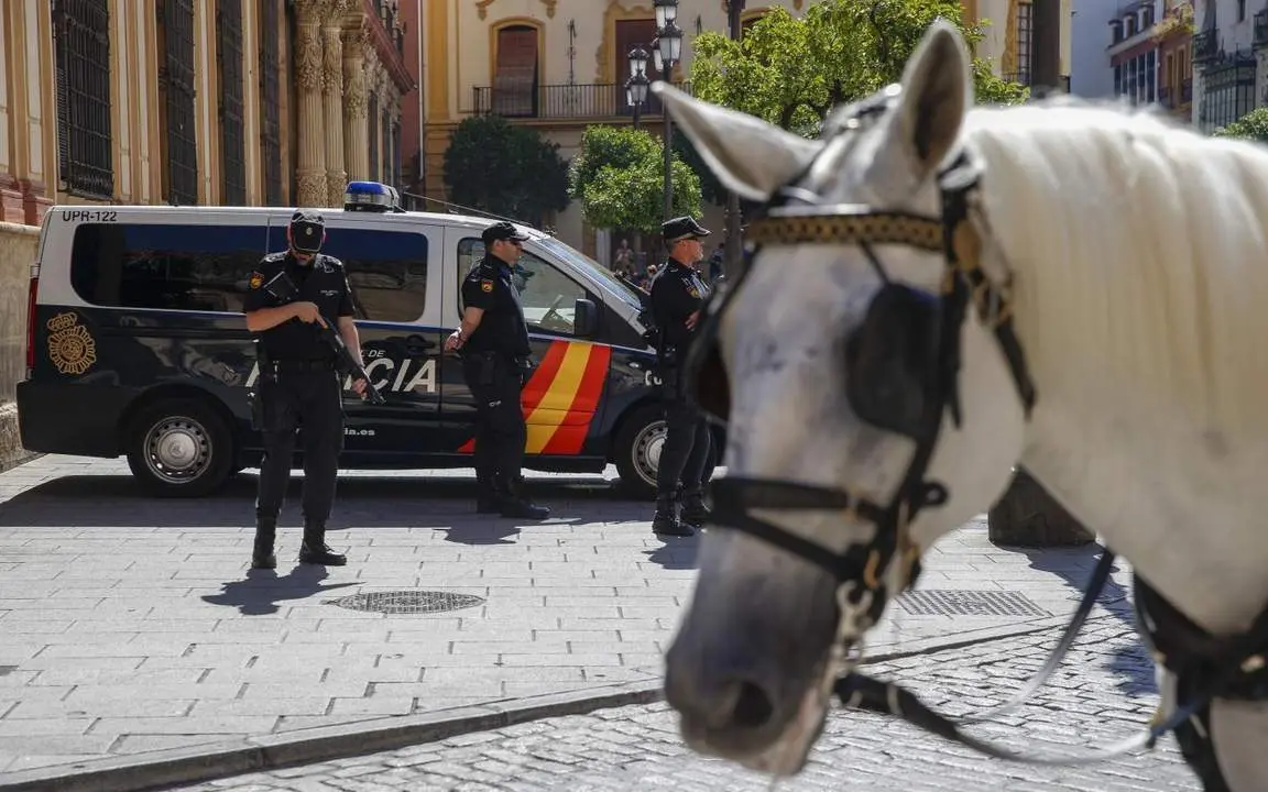Seguridad - Efe