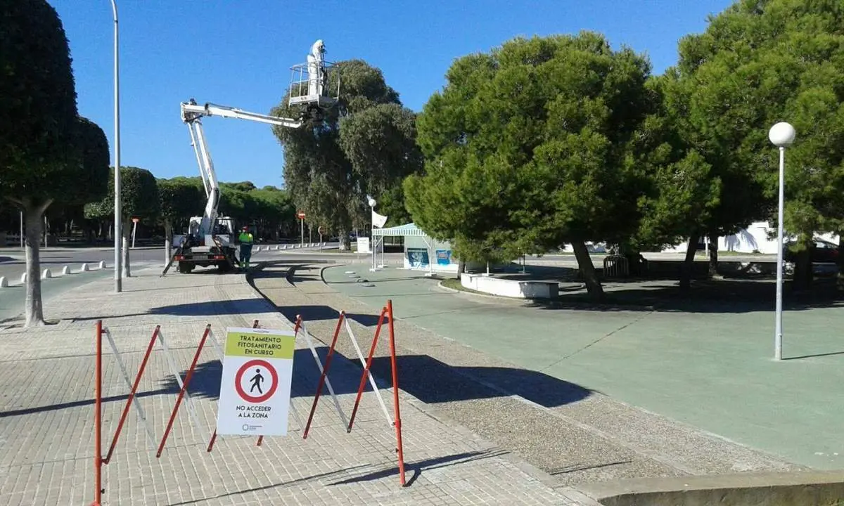 Tratamiento preventivo. - Viva Rota