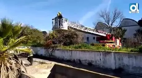 Bomberos rescatan a dos perros en una depuradora abandonada de M&aacute;laga