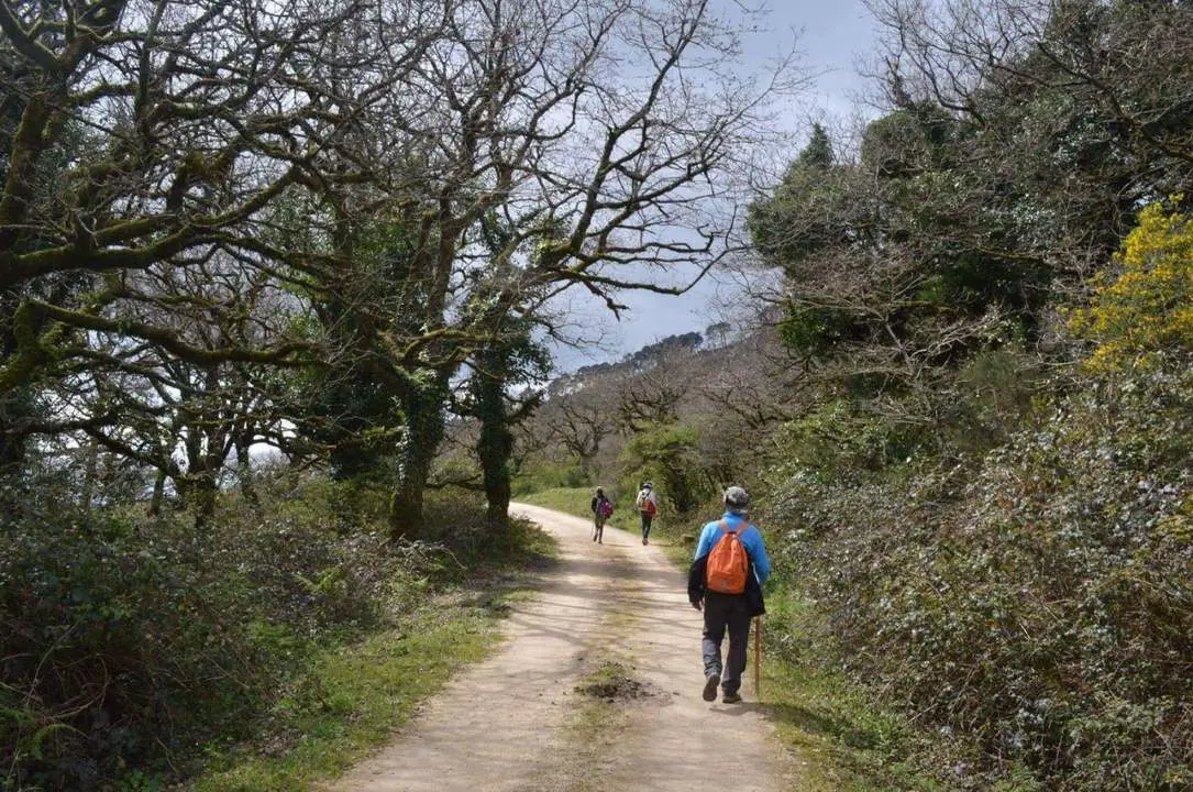 Parque Natural Alcornocales - AI