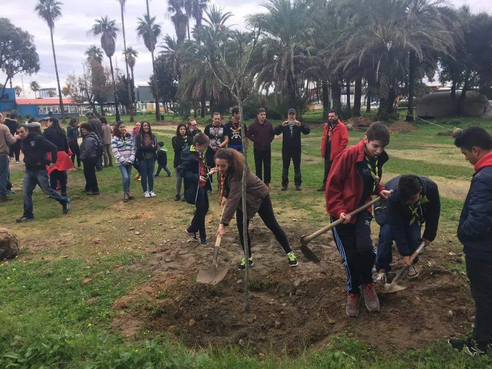 Reforestaci&oacute;n de los Locos del Parque - AI