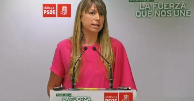 La viceportavoz municipal del PSOE - vm