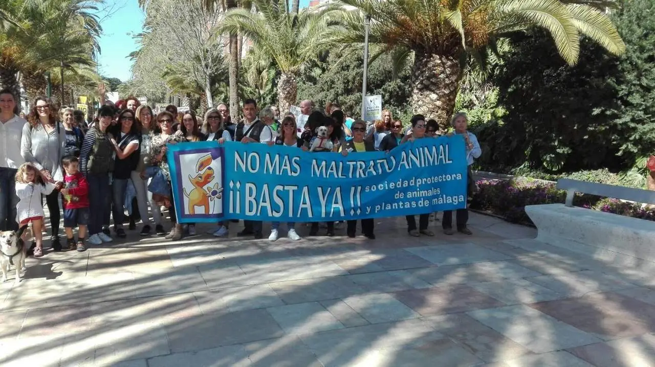 Por los derechos de los animales - vm