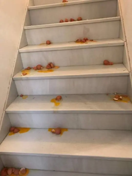 Huevos en viviendas - vh