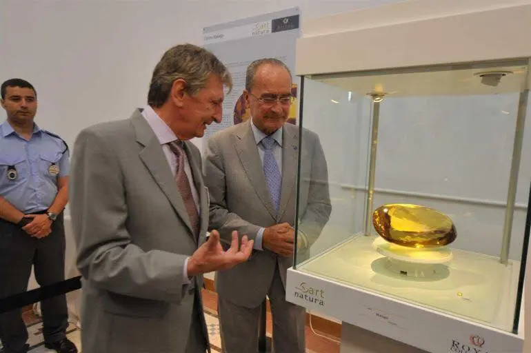 De la Torre y Art NAtura - vm