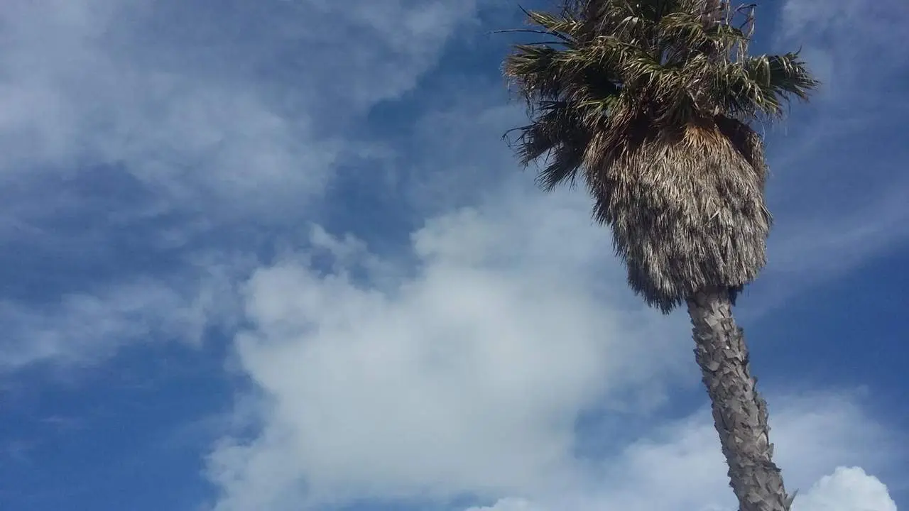 Sol y nubes  - V. C 