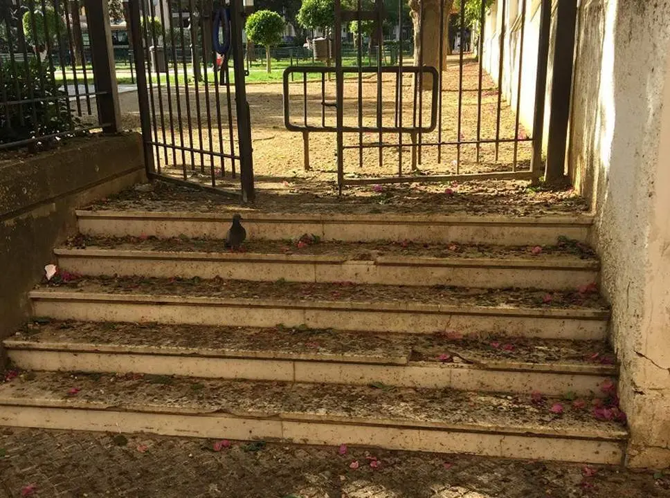Estado de los parques - 