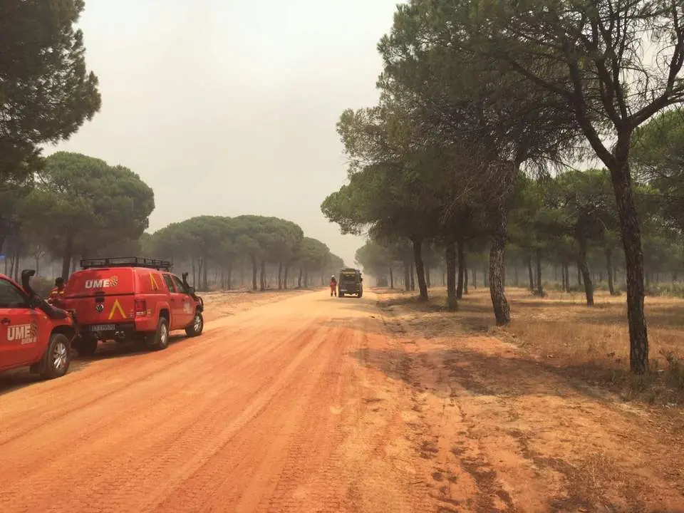 Efectivos de la UME en la zona - EDU SILES