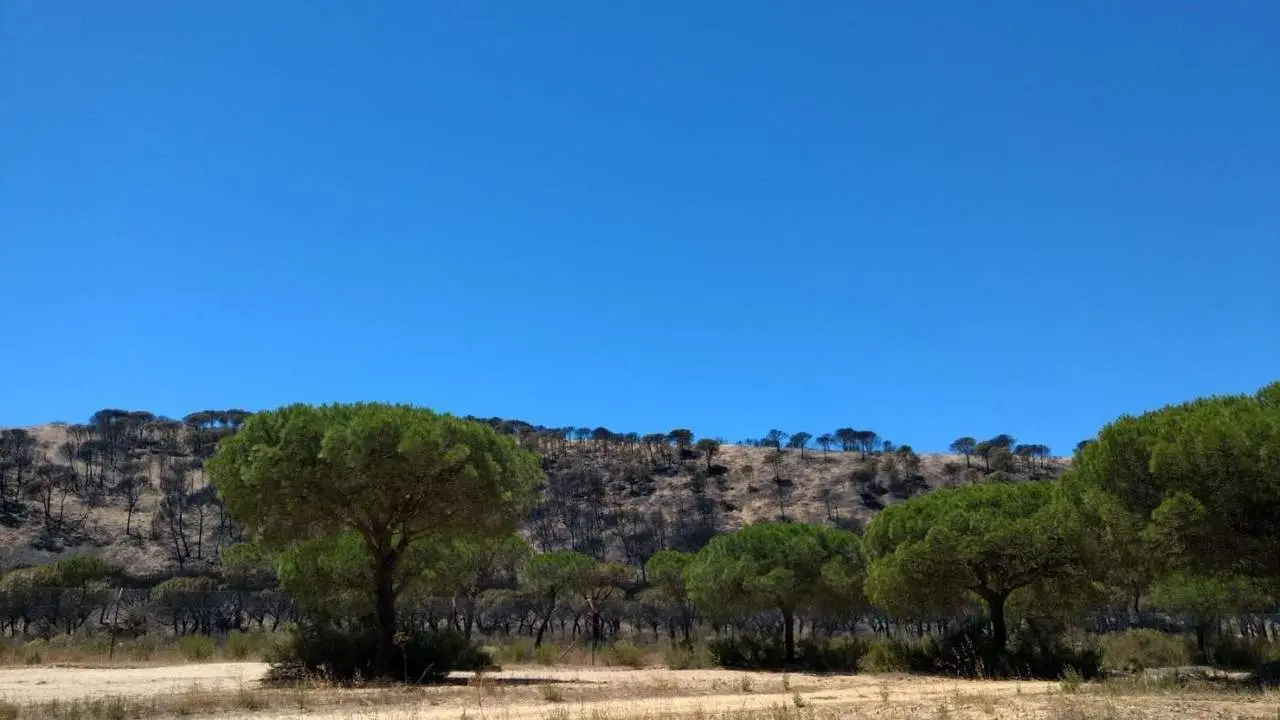 Segundo d&iacute;a de incendio - edu siles