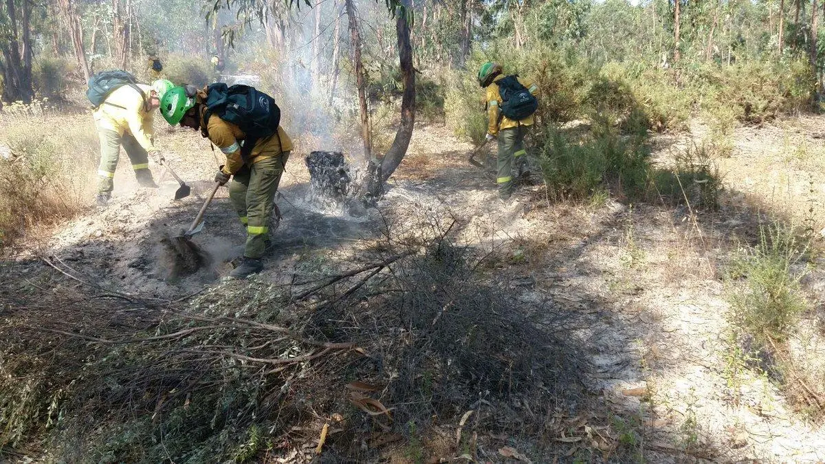 Incendio Bonares - infoca