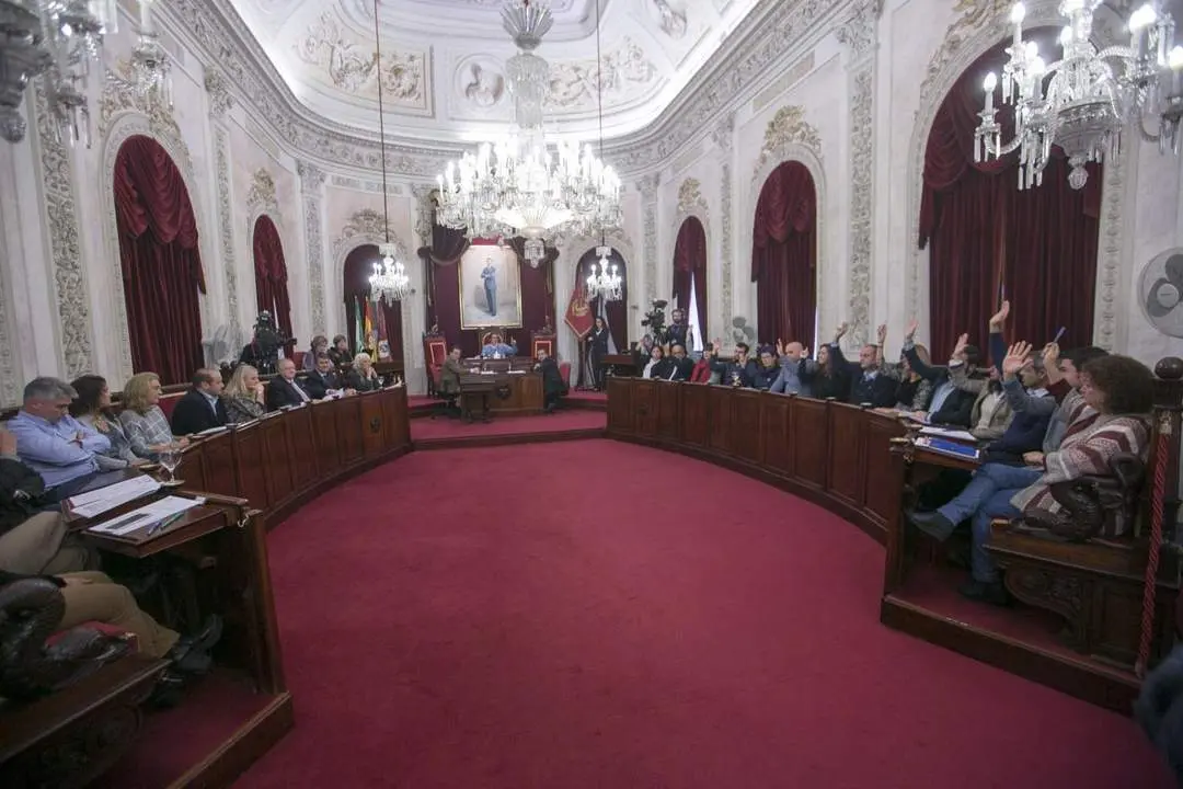 Pleno municipal. - Viva