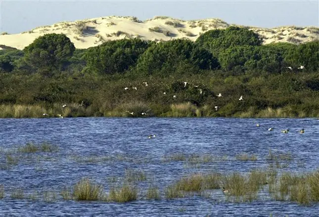 Vista del Parque Nacional de Do&ntilde;ana - EFE