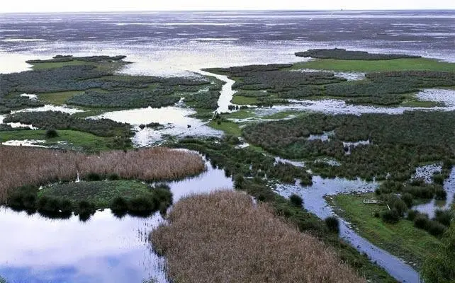 DO&Ntilde;ANA - EFE