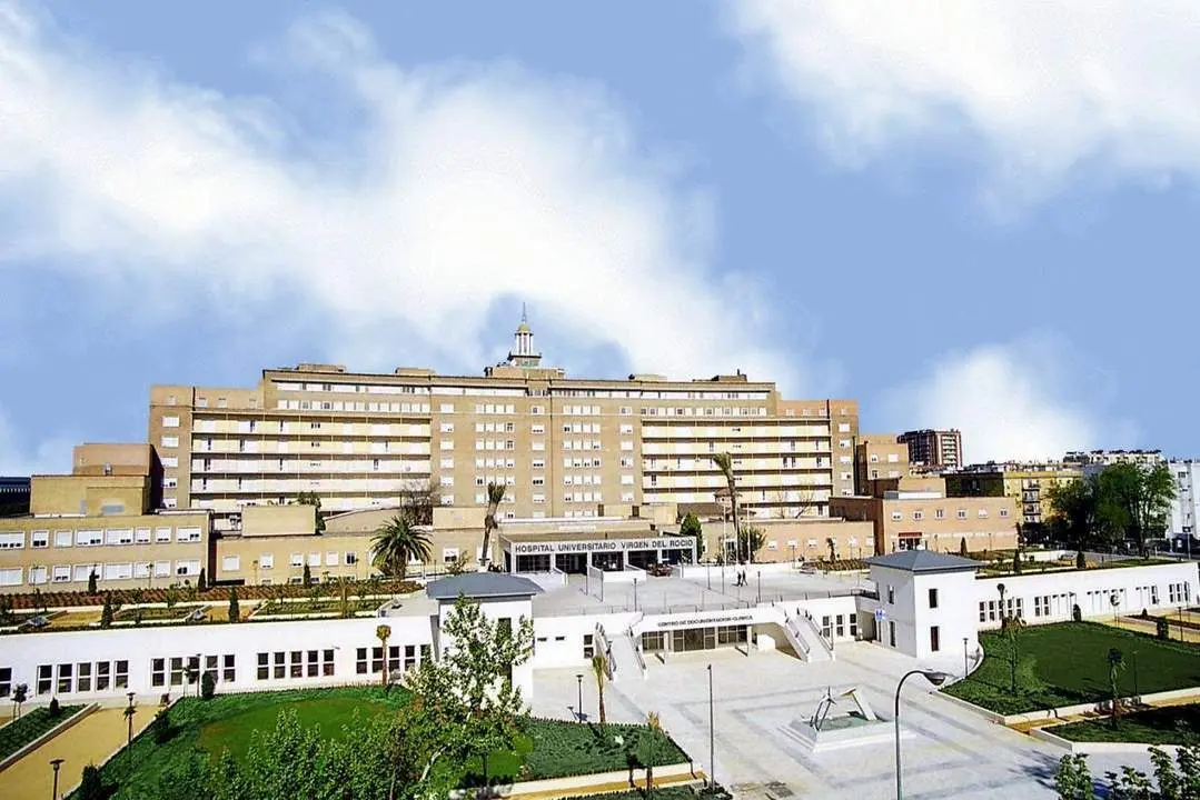 Virgen del Roc&iacute;o - Junta