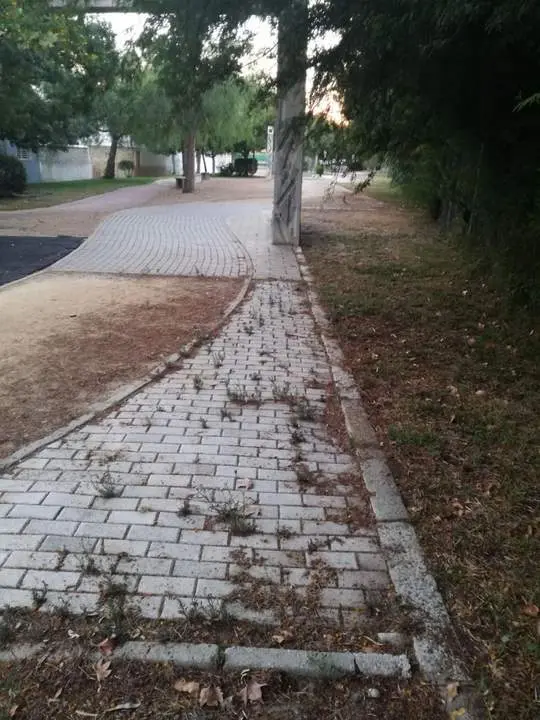 Deficiencias en los parques. - Fuente: SSPR