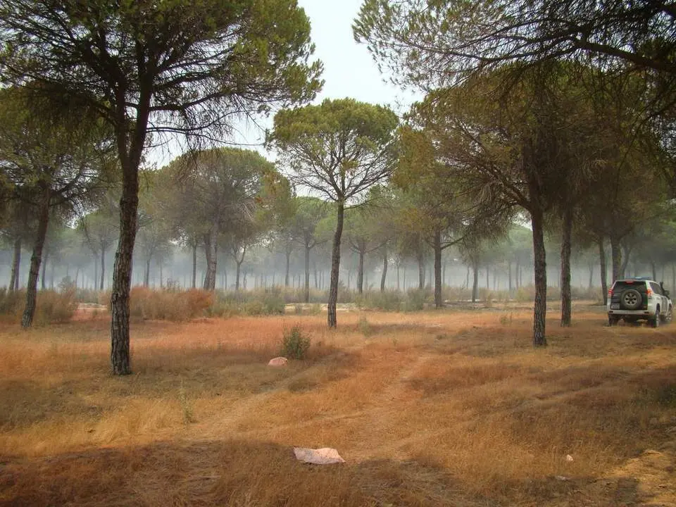 Incendio Mazag&oacute;n - edu siles
