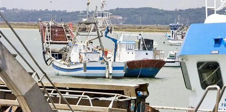Barco de cerco - VH