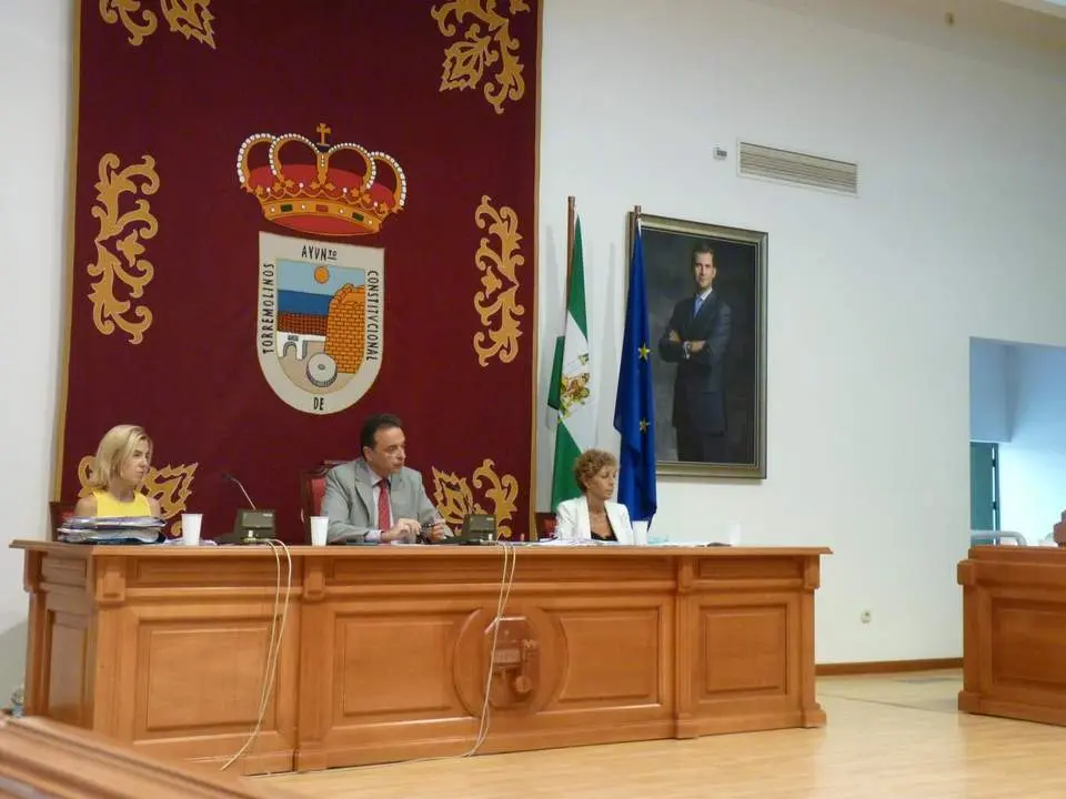 Pleno de Torremolinos - Carmen Romera