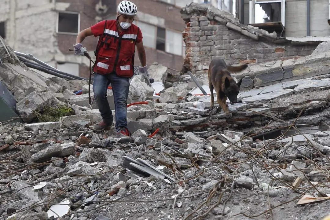 Terremoto de M&eacute;xico.  - EFE/S&aacute;shenka Guti&eacute;rrez