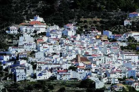 Canillas de albaida - vm