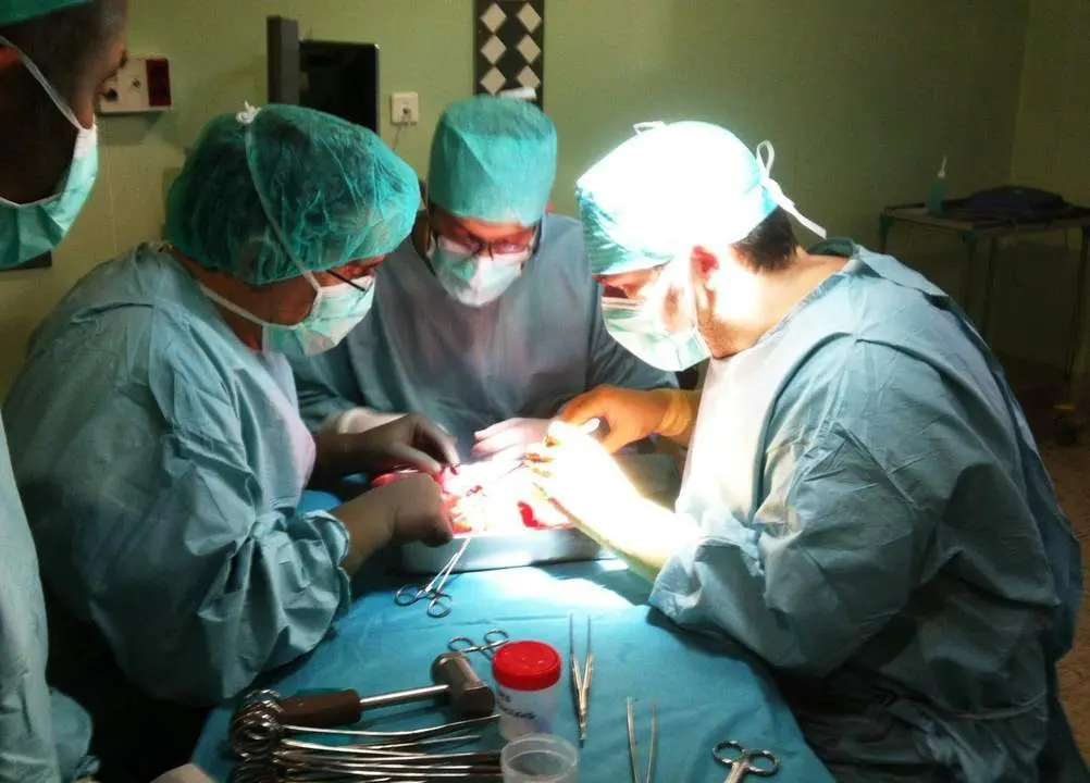 Operaci&oacute;n transplante - VM