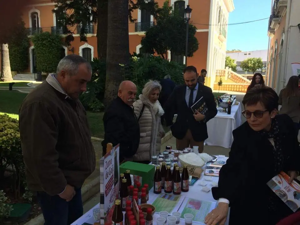 Presentaci&oacute;n de la Biblioteca de la Gastronom&iacute;a Andaluza - VH