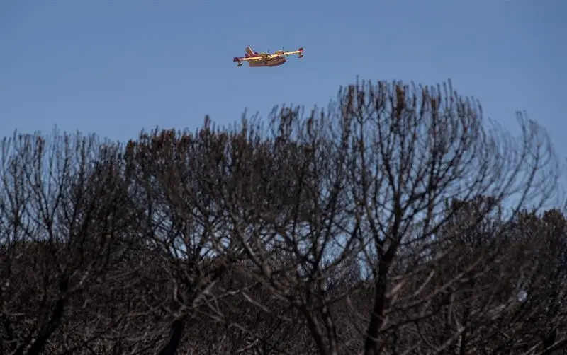 Incendio MOguer - EFE