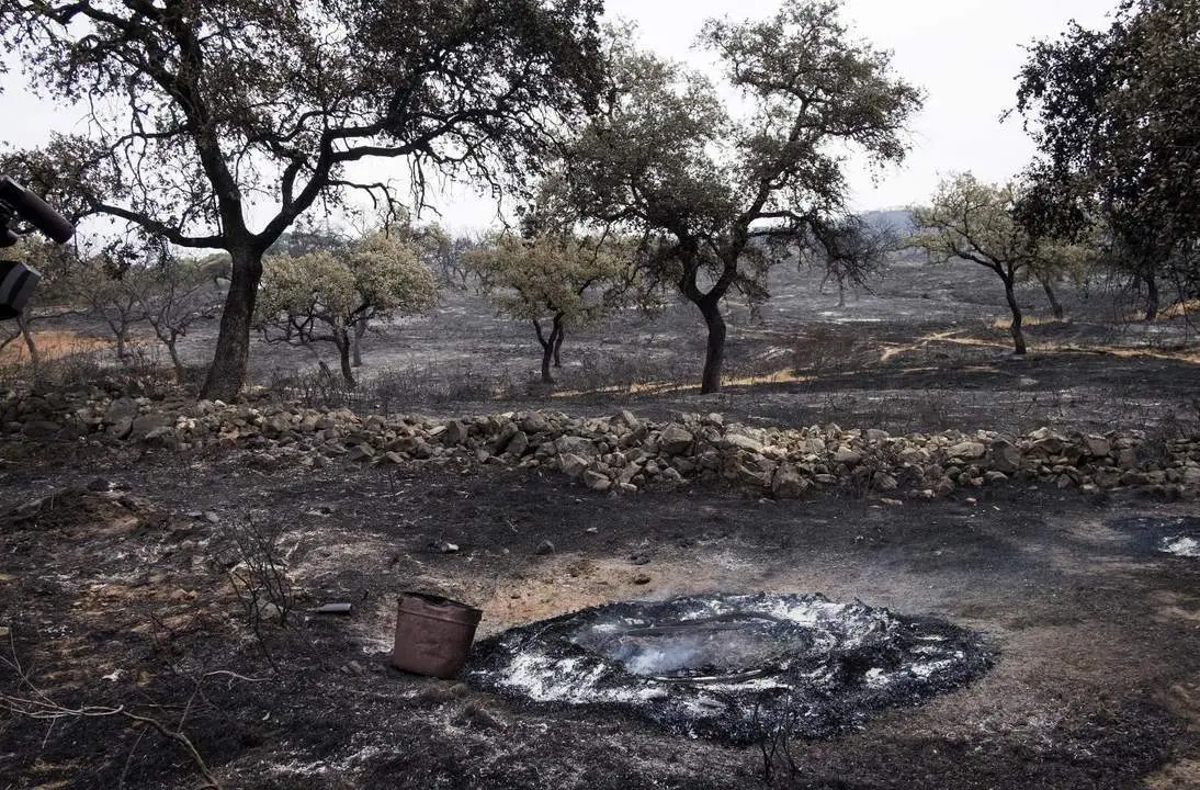 Incendio de La Granada de Riotinto - EFE / J.PEREZ