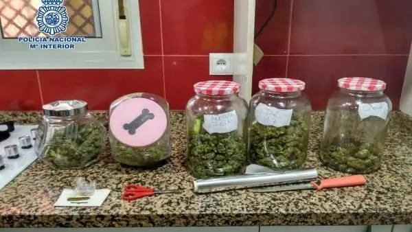 Droga incautada - vm