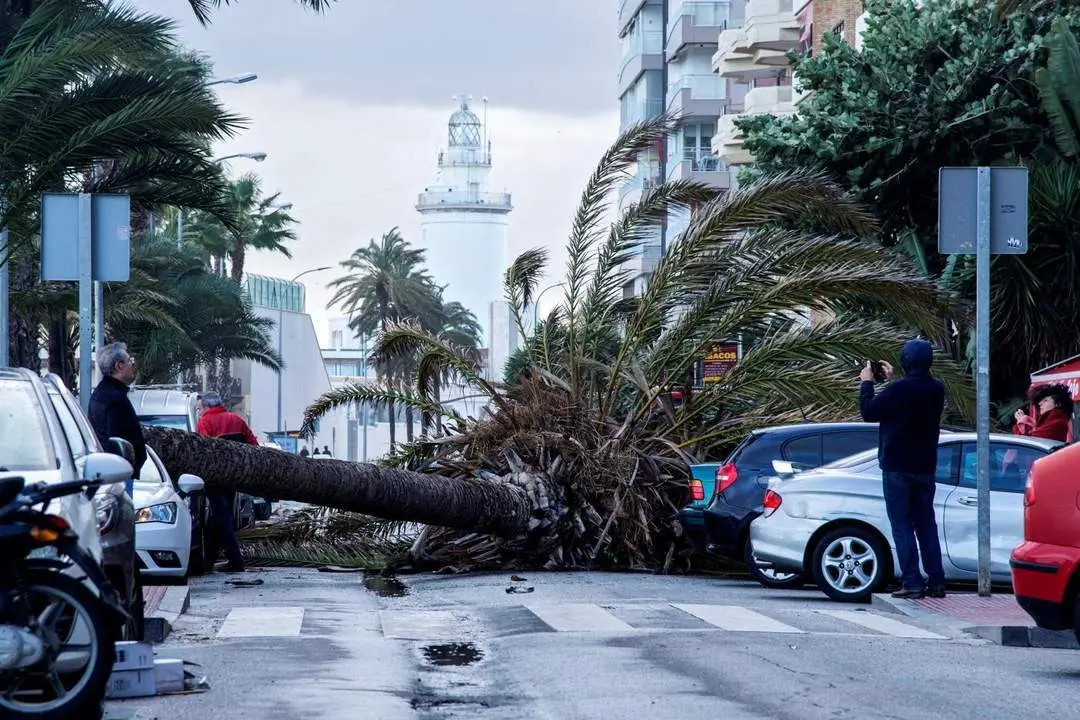 Destrozos temporal - EFE/Juan Miguel P&eacute;rez Ramos