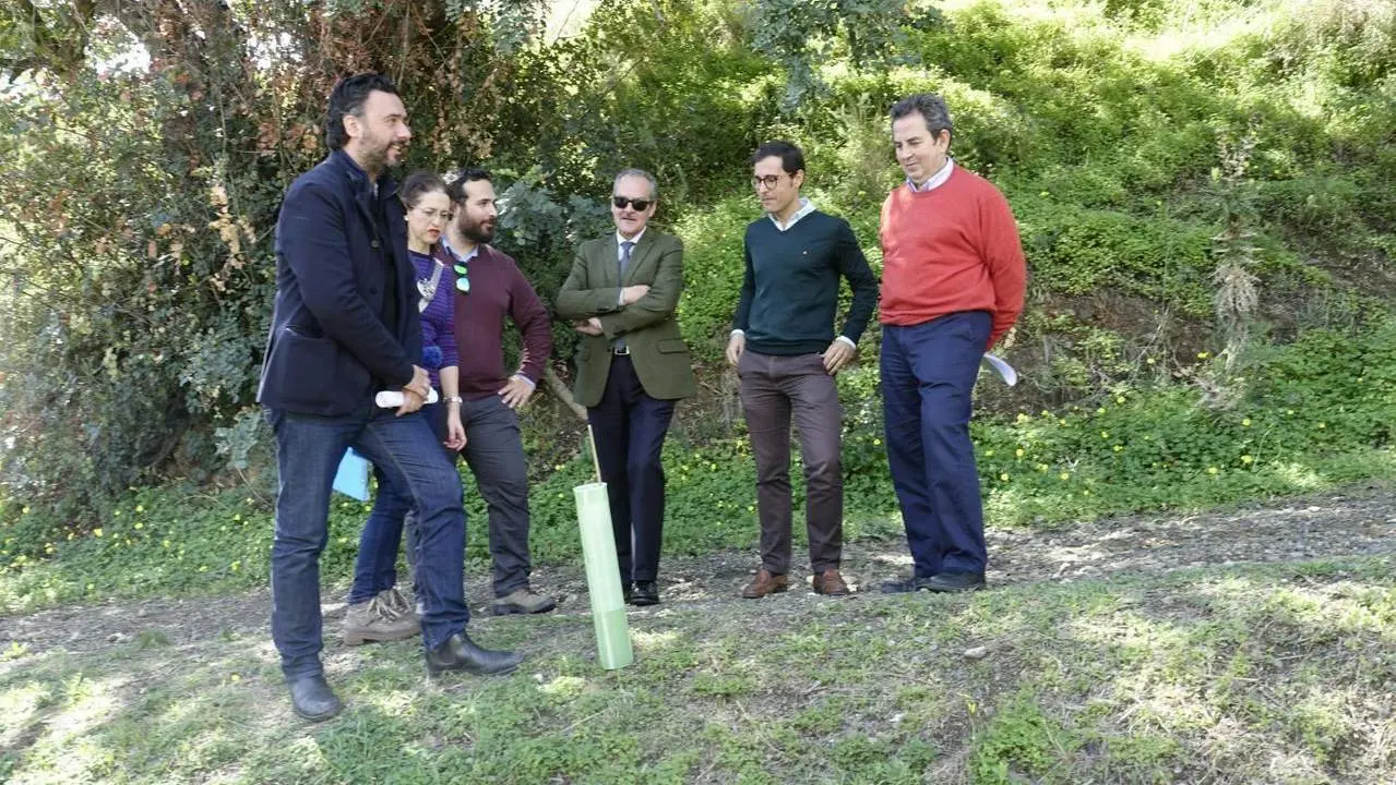 Plantando &aacute;rboles para compensar los gases de efecto invernadero
