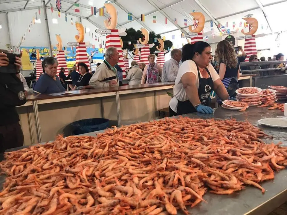 Feria de la Gamba. - vh