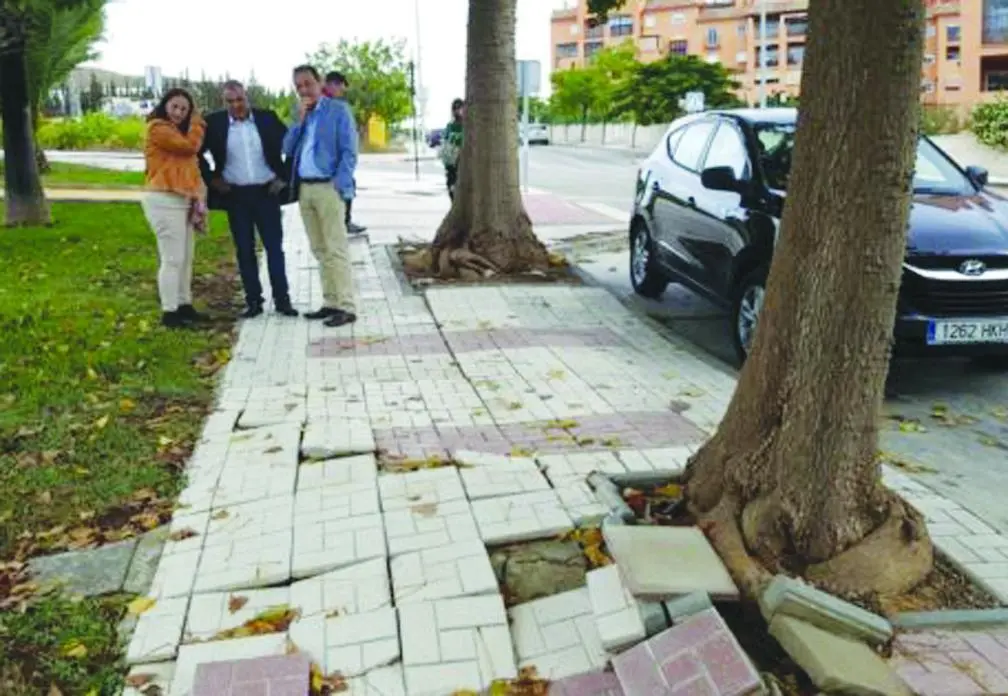 Da&ntilde;os en las calles. - V.M.
