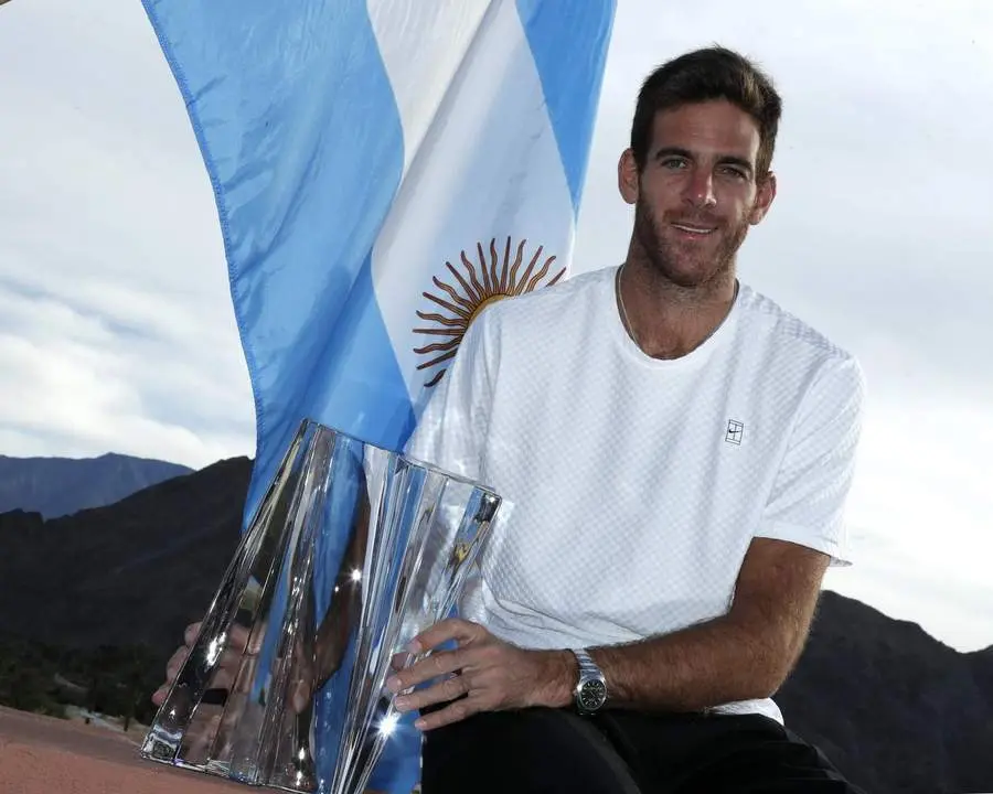 Juan Mart&iacute;n del Potro - EFE