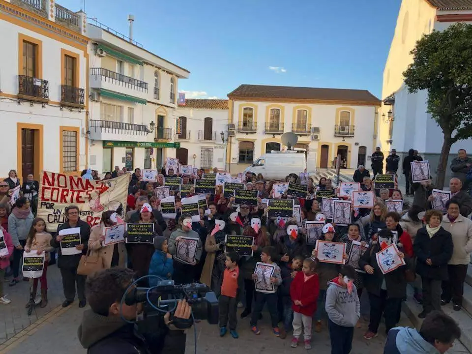 Vecinos vestidos de cig&uuml;e&ntilde;as claman por los cortes de luz