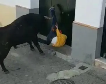 El Toro del Aleluya de Arcos se cobra una v&iacute;ctima mortal