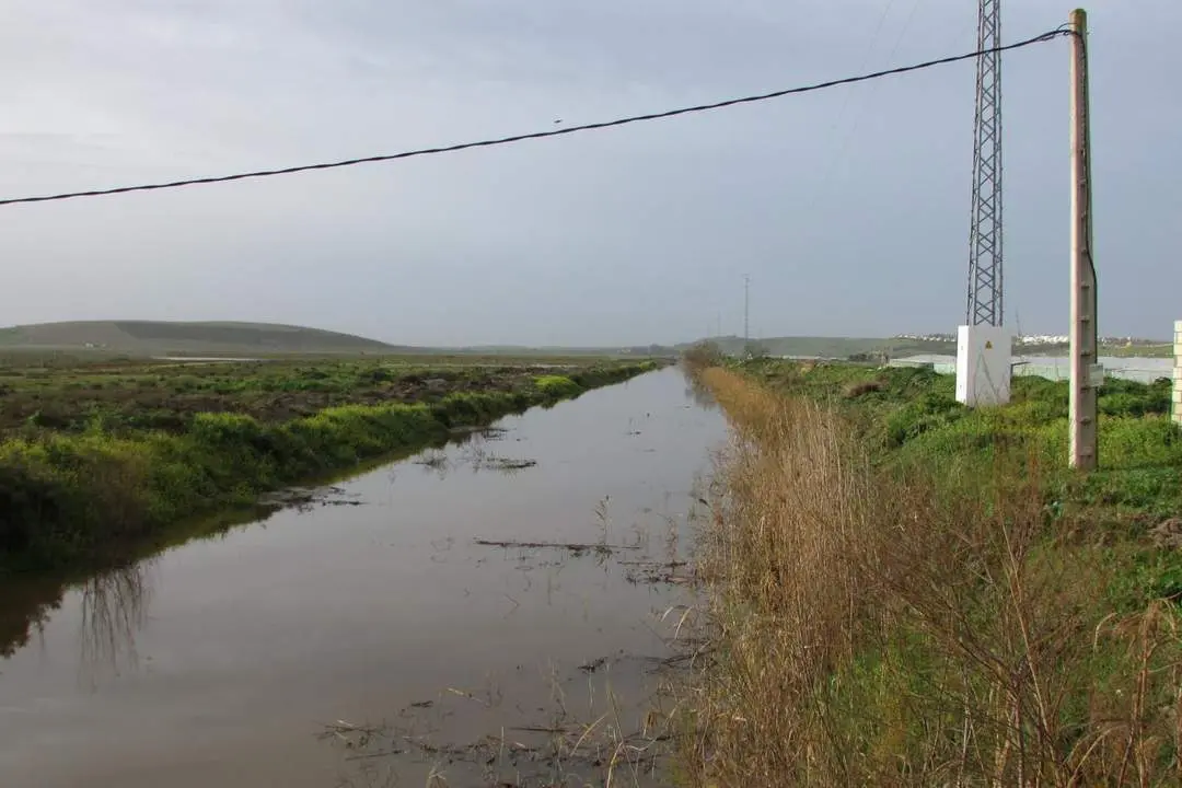 Marzo dej&oacute; muchos litros de agua en La Algaida - Ra&uacute;l J. Bustillos