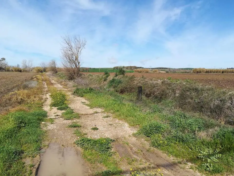 Camino rural de Jerez - Ganemos