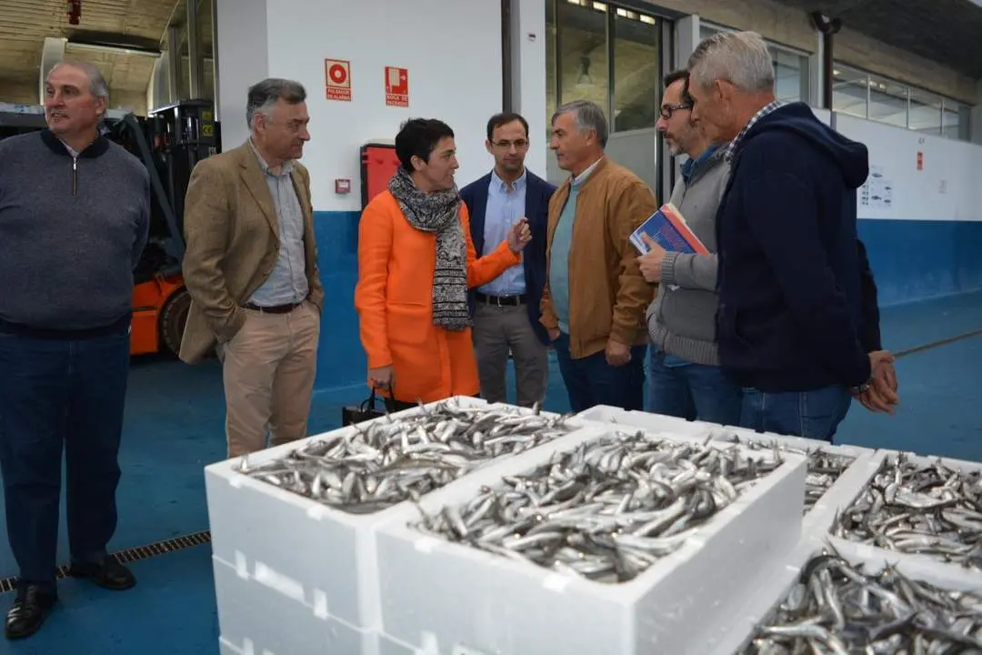 Visita a la lonja de Bonanza. - C. Cruz