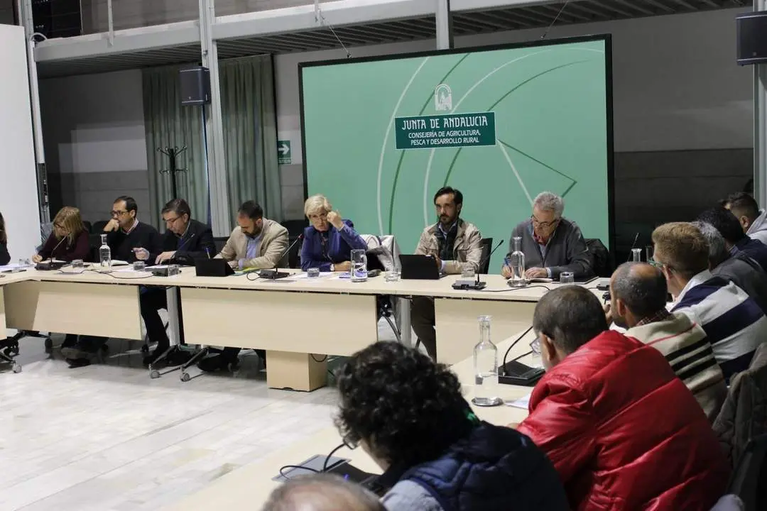 Reuni&oacute;n de Junta y el sector este martes. - VH