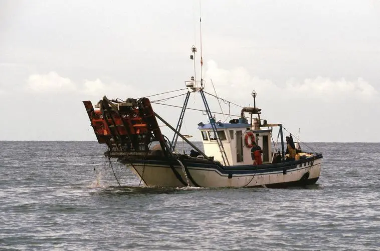Barco de chirla. - A. I.
