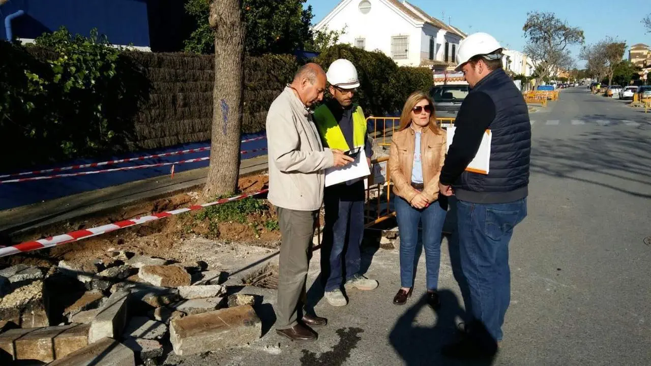 Obras de alcorques. - Andaluc&iacute;a Informaci&oacute;n