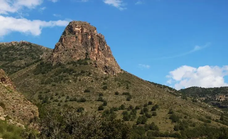 Pe&ntilde;&oacute;n de Bernal. - Junta de Andaluc&iacute;a