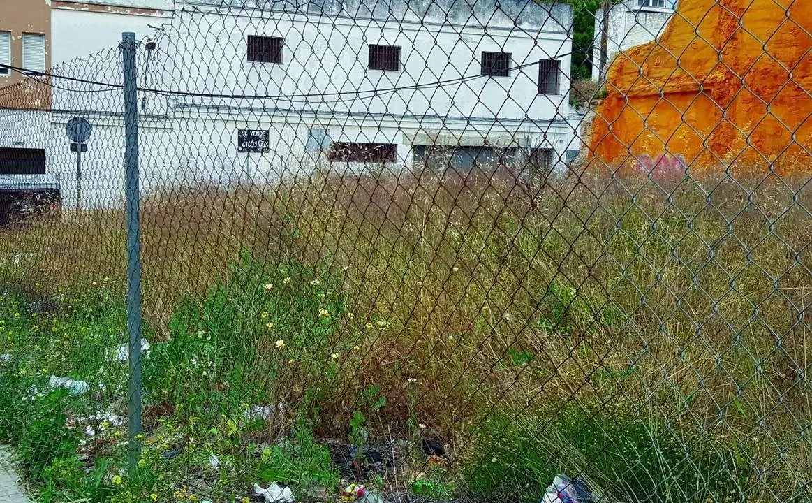Parcela llena de pastos en la calle Cruces - B. G. S. 