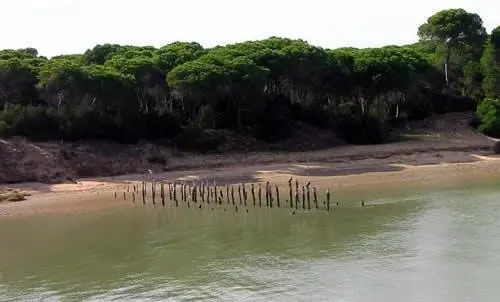 Parque Natural de Do&ntilde;ana. - VH