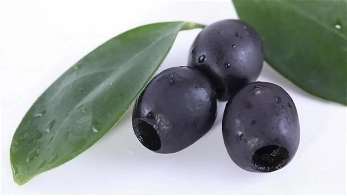Aceituna negra de mesa.  - VM